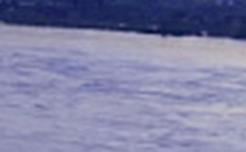 �P(gu��n)���L������