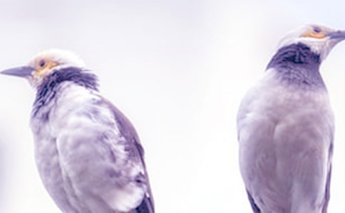 關(guān)于吵架的作文必備(15篇)