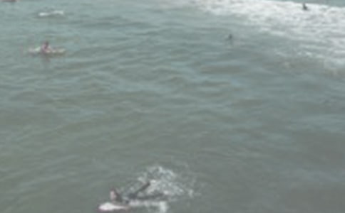 關(guān)于沖浪的作文7篇