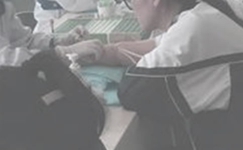 抽血小學(xué)作文