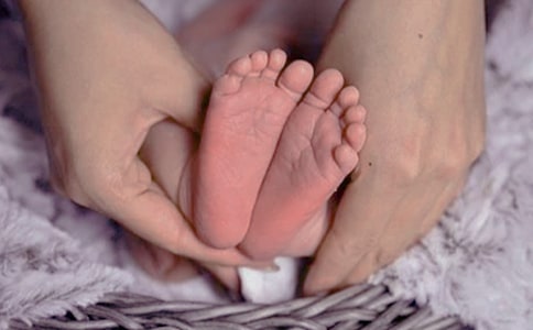 冷江鱉出生記-五年級(jí)-記敘文