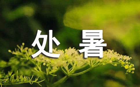 關(guān)于處暑的作文