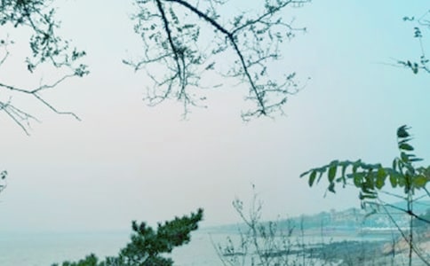 ���L����������o