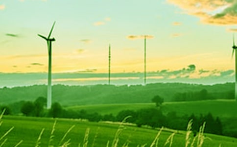 春風(fēng)又綠湖兩岸散文