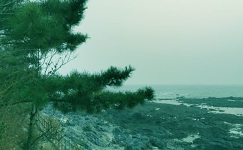 春風(fēng)拂面作文