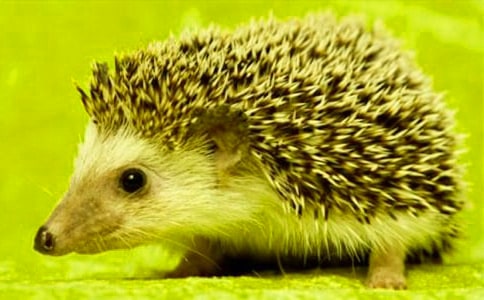 ��؂�ʹ������