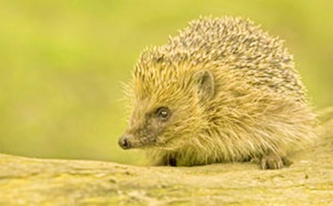 [�؂�]���g(sh��)��⬽̰�15ƪ