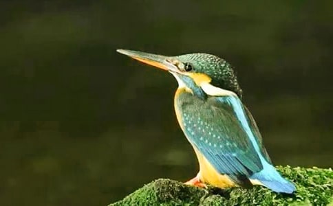 �����B���̌W(xu��)�O(sh��)Ӌ֮һ