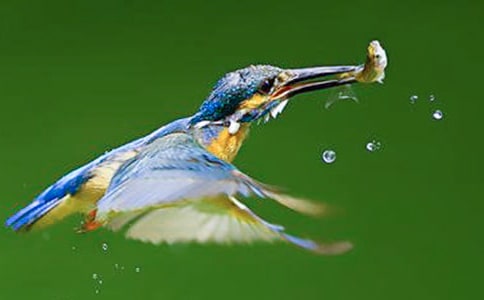 ���꼉(j��)�Z�ġ����B���̌W(xu��)��˼