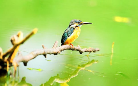 �����B���̌W�O(sh��)Ӌ