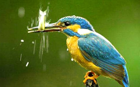 ���B�̌W(xu��)�O(sh��)Ӌ(j��)