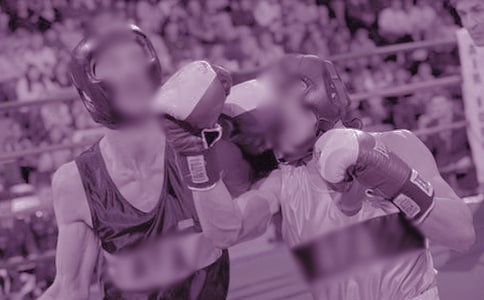 從小愛打架 鳥名