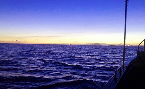 大海的魅力作文