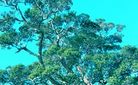 ���o���һ����