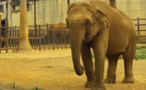 [���x]�P�ڴ��������