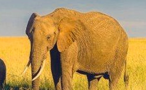 ��С����ʹ����x��У����x11ƪ��