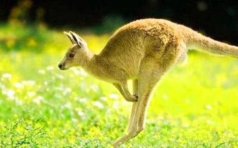 ����w���̰������󌚌��\(y��n)Ƥ��