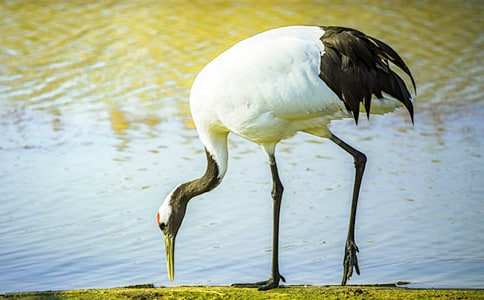 �����ĵ���Q���o(h��)�^(q��)����