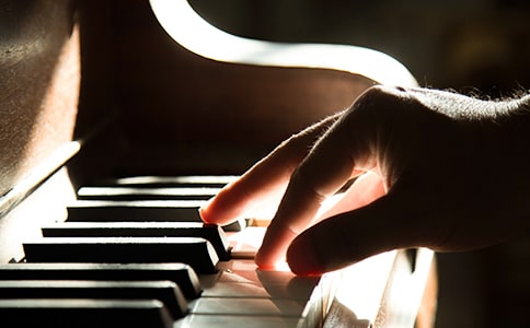 對(duì)牛彈琴作文