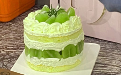 蛋糕的日記(15篇)