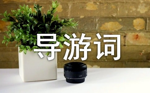 關(guān)于白石山導(dǎo)游詞范文-導(dǎo)游詞范文