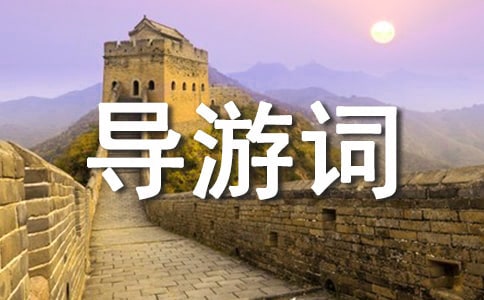 ���T���c�����~