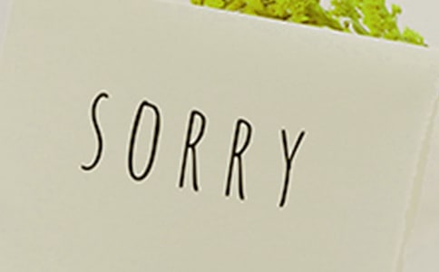 爸爸向我道歉的作文800字