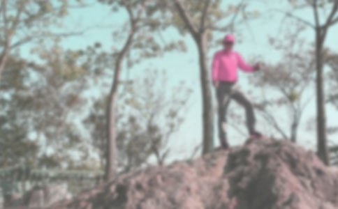 ��ɽ������