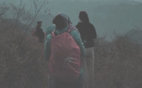 關(guān)于登山作文(合集)