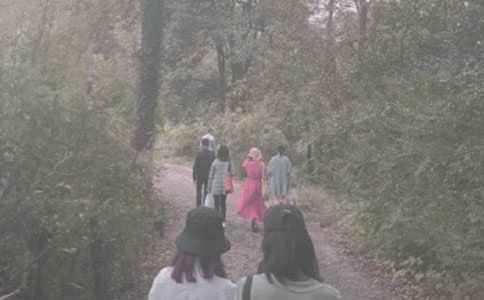 關(guān)于登山的六年級作文