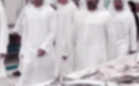 高中生優(yōu)秀作文點評:《迪拜行記》