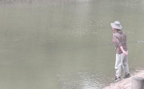 關(guān)于釣魚作文集錦15篇