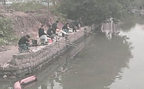 關(guān)于釣魚作文【薦】