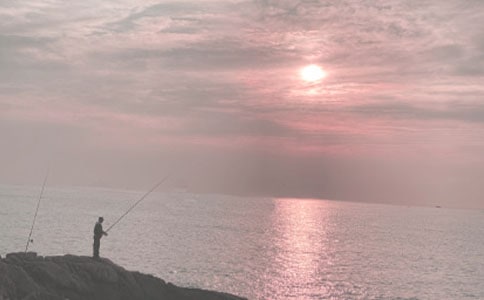 �P����~����(�ϼ�15ƪ)