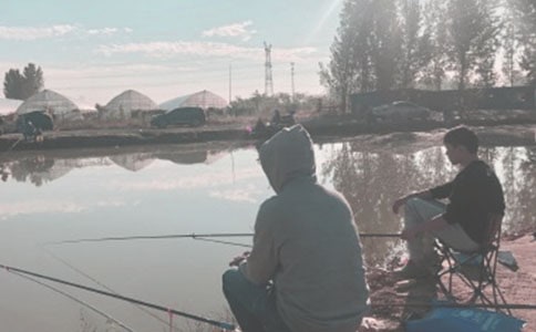 《釣魚的啟示》教學(xué)計劃通用