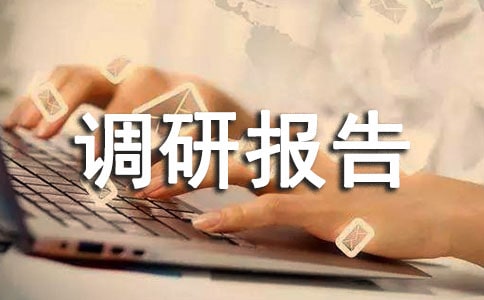 改革開放調(diào)研報告