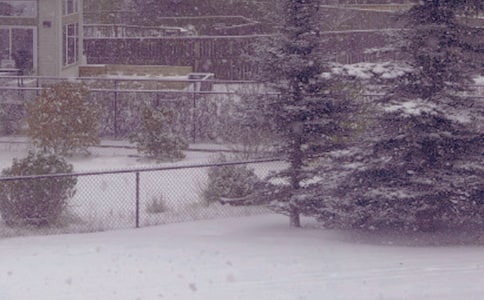 ����ѩ������(���\15ƪ)