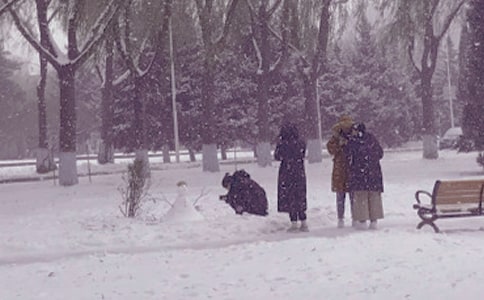 冬日的陽光作文