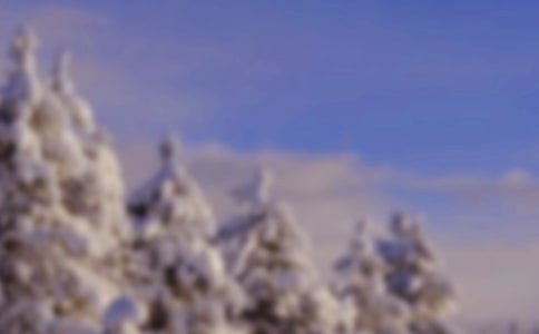 �����ѩ����400�֣����x55ƪ��