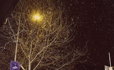 (通用)冬天作文600字