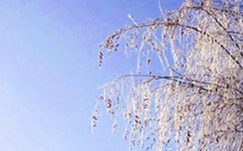 描寫冬天景物的精彩片段作文