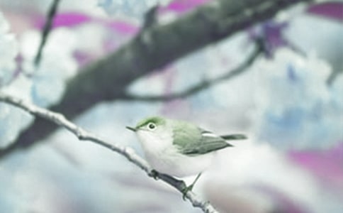 ���o(h��)��ֲ����҂���������