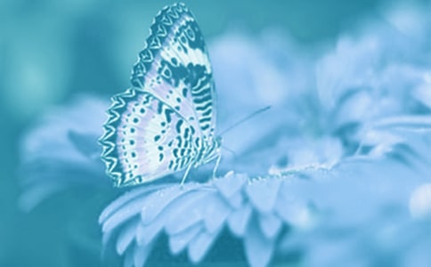 香港動(dòng)植物公園導(dǎo)游詞