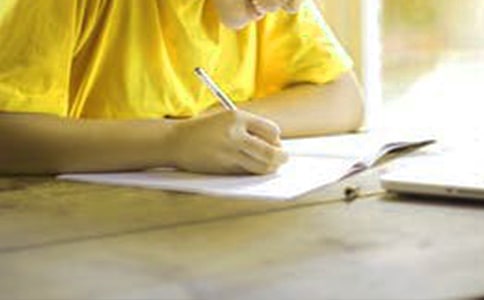 雄獅去流浪的讀后感