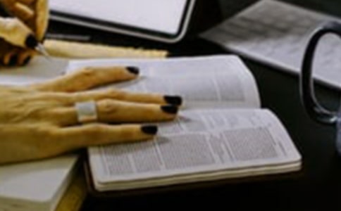 �Lѩ��:�ͷ��غ�����ؔ(c��i)�������x���