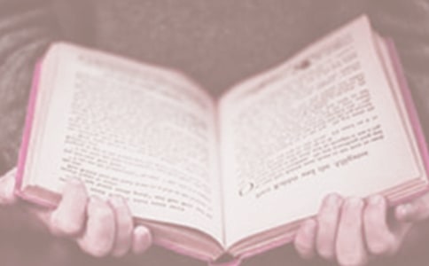 幼兒園世界讀書日活動主持稿