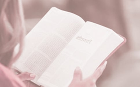 ����xʽ�����x�������ָ�