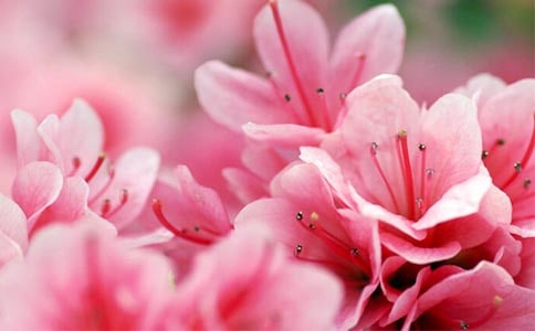 ���N�����ģ�ͨ��49ƪ��