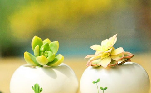 �P(gu��n)�ڶ��������