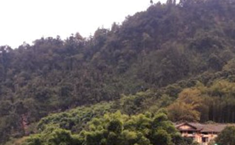 峨眉山之旅作文